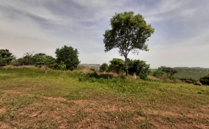 Lote de terreno en venta Nkugulutale, Wakiso. Foto#6