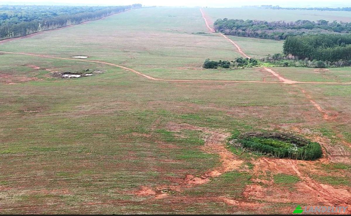 Negocio en venta PY03, Calle 6000 021618, Calle 6000, Guayaibí, San Pedro, Paraguay. Foto 6