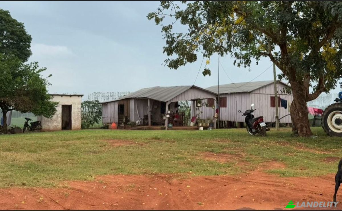 Negocio en venta PY03, Calle 6000 021618, Calle 6000, Guayaibí, San Pedro, Paraguay. Foto 10