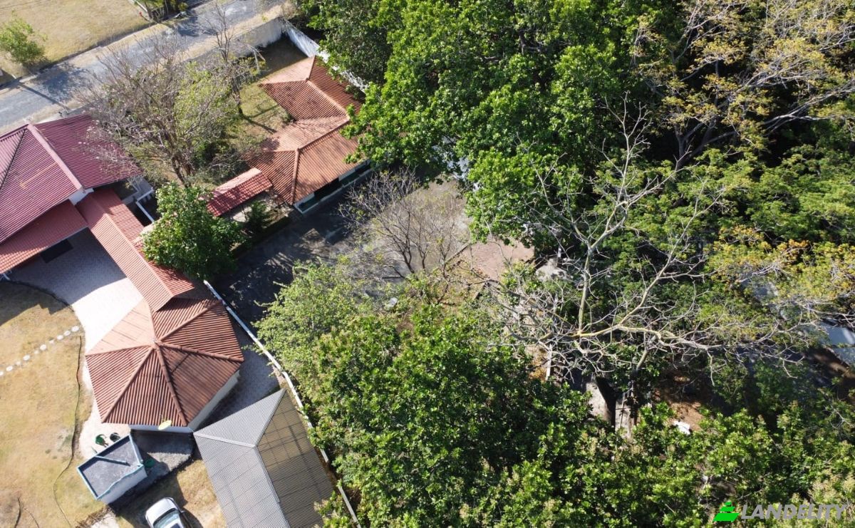 Investing/Development for Sale Kyo-Sai Young 1011-00041, Chame, Panama Oeste Province, Panama, Provincia de Panama Oeste. Photo 5