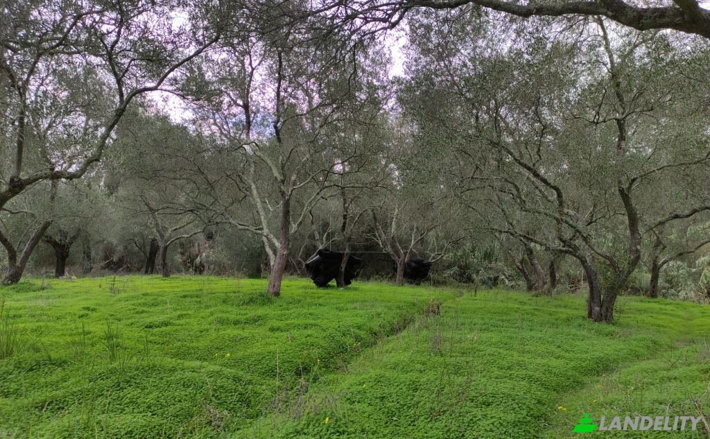 Land Lot for Sale dos xoris onomasia, Kavos, Ionian Islands, Decentralized Administration of Peloponnese, Western Greece and the Ionian, Greece. Photo 5