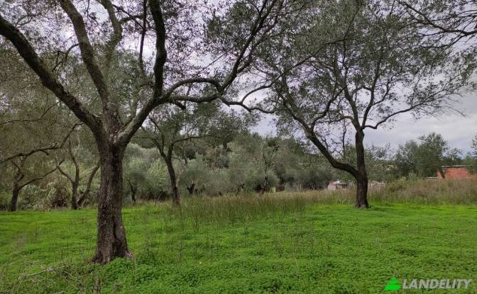 Land Lot for Sale dos xoris onomasia, Kavos. Photo#2 Land Lot for Sale dos xoris onomasia, Kavos. Photo#2