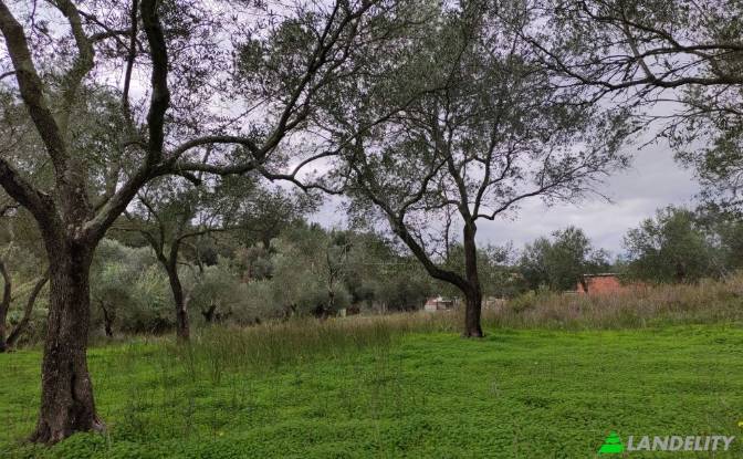 Land Lot for Sale dos xoris onomasia, Kavos. Photo#3 Land Lot for Sale dos xoris onomasia, Kavos. Photo#3