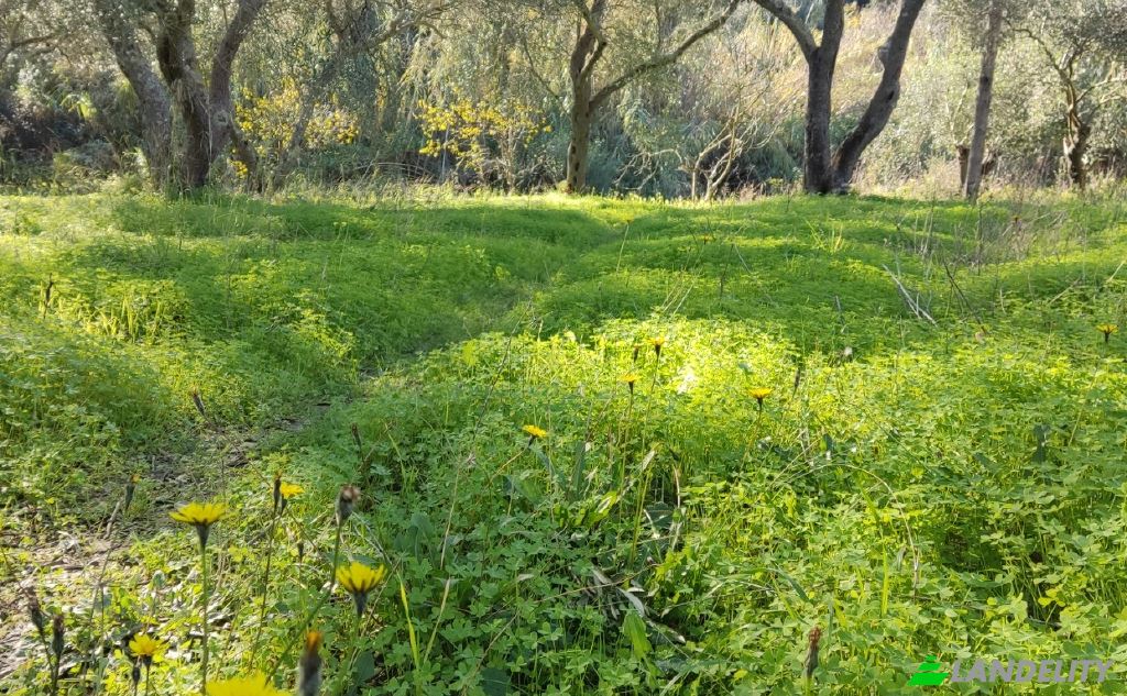 Land Lot for Sale dos xoris onomasia, Kavos, Ionian Islands, Decentralized Administration of Peloponnese, Western Greece and the Ionian, Greece. Photo 4
