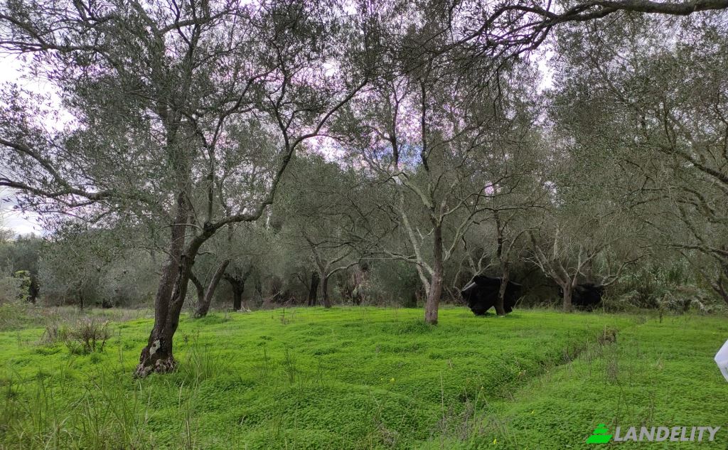Land Lot for Sale dos xoris onomasia, Kavos, Ionian Islands, Decentralized Administration of Peloponnese, Western Greece and the Ionian, Greece. Photo 1