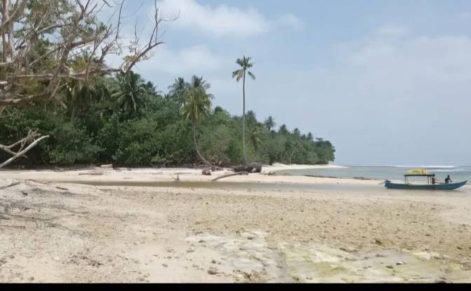 Island for Sale Jalan Tanpa Nama, Betumonga. Photo#2 Island for Sale Jalan Tanpa Nama, Betumonga. Photo#2