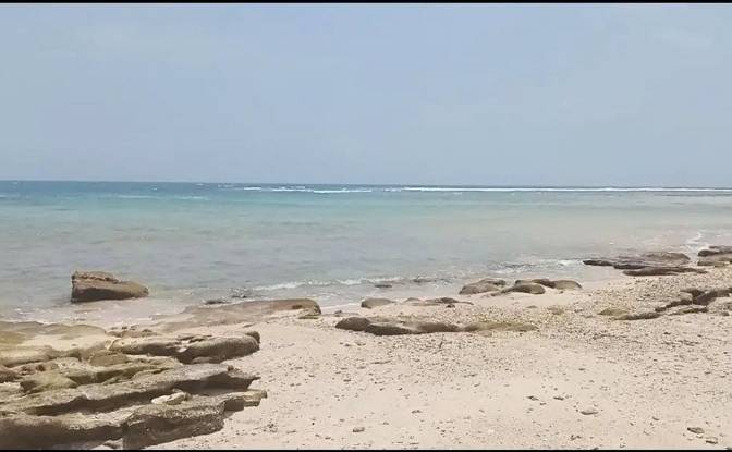 Island for Sale Jalan Tanpa Nama, Betumonga. Photo#3 Island for Sale Jalan Tanpa Nama, Betumonga. Photo#3