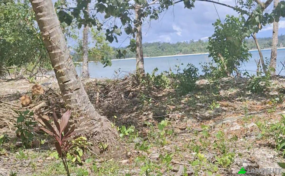 Isla en venta Sipora Jaya, Mentawai Islands Regency, West Sumatra, Indonesia. Foto 6