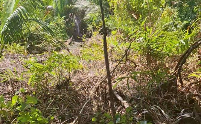 Isla en venta Sipora Jaya. Foto#7