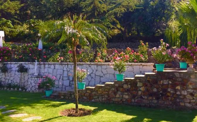 Investing/Development for Sale Calle el. Photo#10