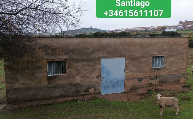 Villa for Sale Ctra Alconchel, Higuera de Vargas. Photo#6