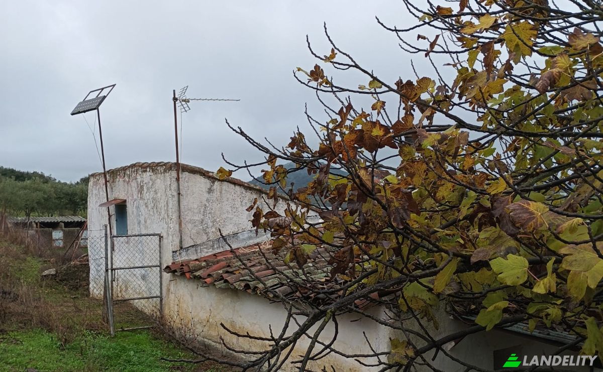 Villa for Sale Ctra Alconchel, Higuera de Vargas, Badajoz, Extremadura, Spain. Photo 14