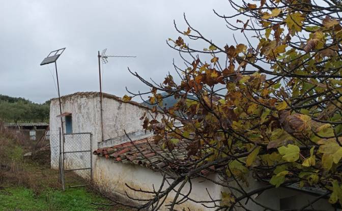 Villa for Sale Ctra Alconchel, Higuera de Vargas. Photo#14