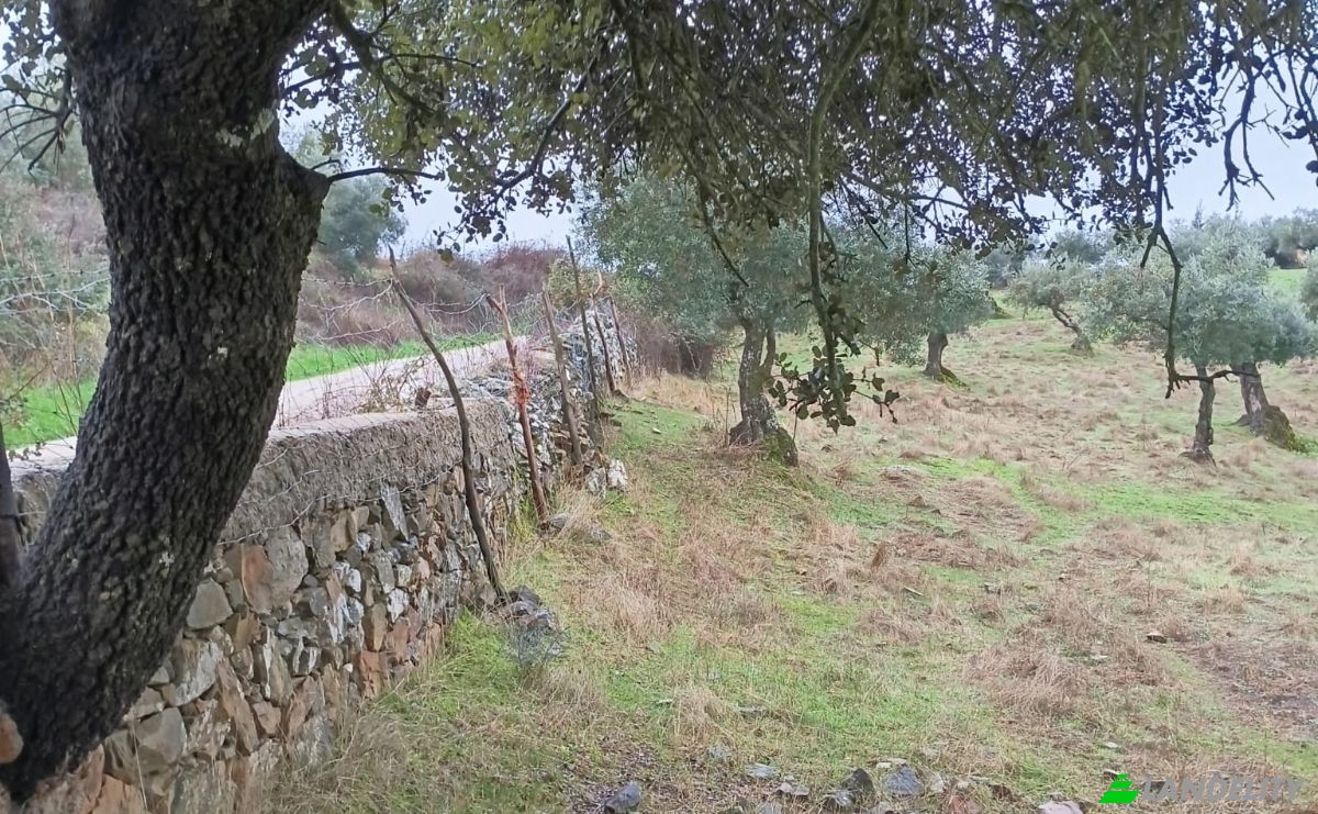 Villa for Sale Ctra Alconchel, Higuera de Vargas, Badajoz, Extremadura, Spain. Photo 18