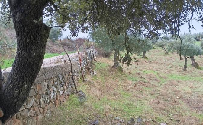 Villa for Sale Ctra Alconchel, Higuera de Vargas. Photo#18