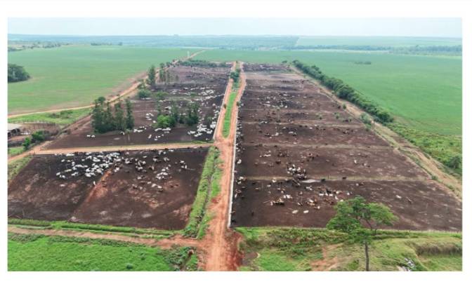 Farm/Ranch for Sale Via Sin Nombre. Photo#10 Farm/Ranch for Sale Via Sin Nombre. Photo#10
