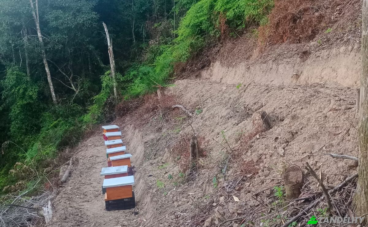Investing/Development for Sale Via Sin Nombre, Lebrija, Santander, Colombia. Photo 4