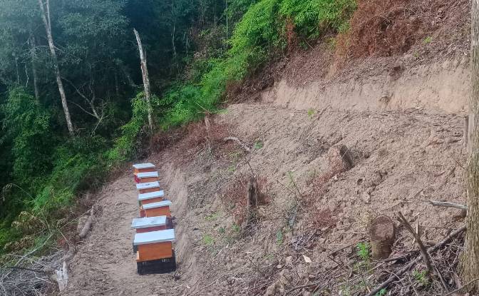 Investing/Development for Sale Via Sin Nombre. Photo#4 Investing/Development for Sale Via Sin Nombre. Photo#4