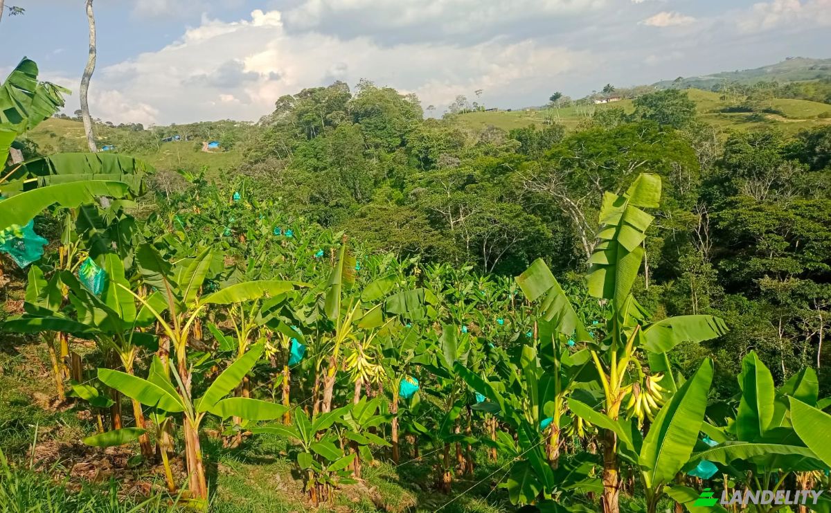 Investing/Development for Sale Via Sin Nombre, Lebrija, Santander, Colombia. Photo 7