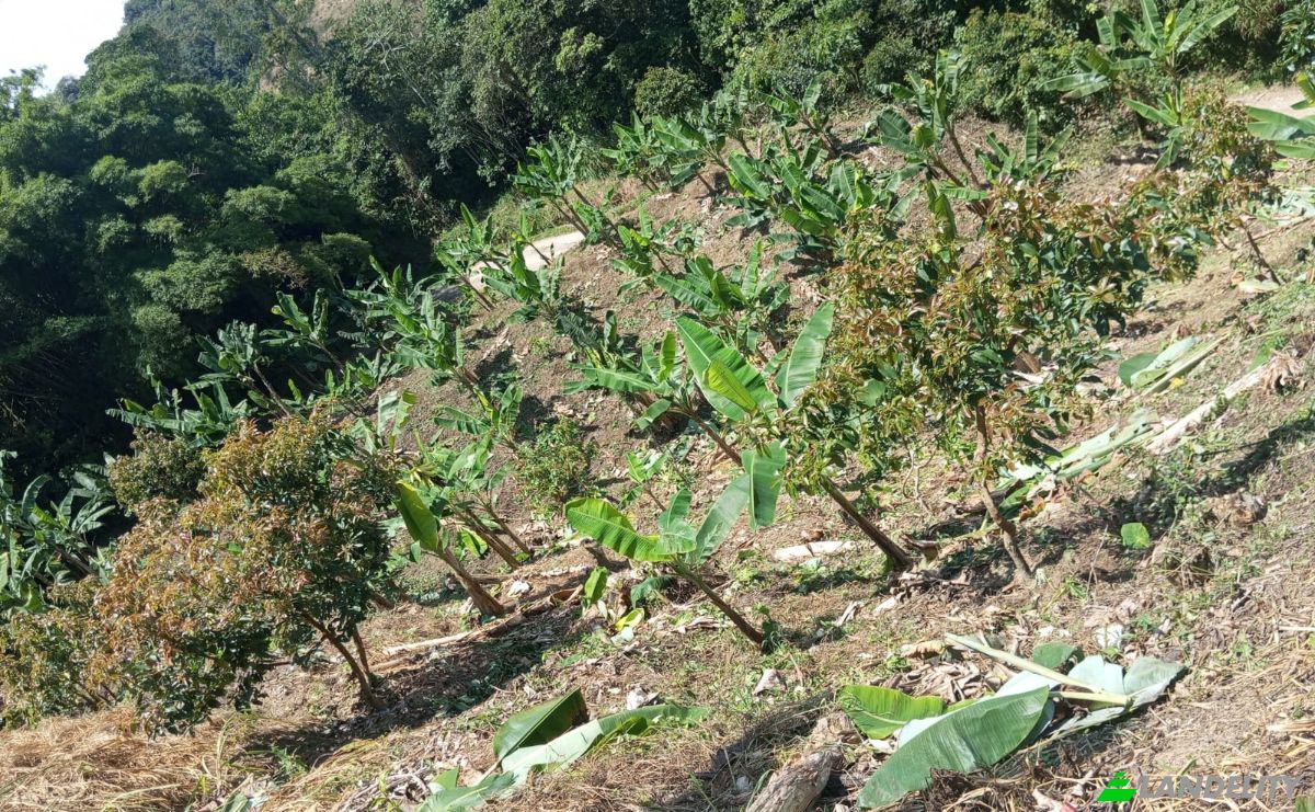 Investing/Development for Sale Via Sin Nombre, Lebrija, Santander, Colombia. Photo 9