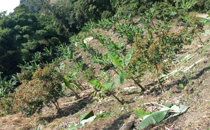 Investing/Development for Sale Via Sin Nombre. Photo#9 Investing/Development for Sale Via Sin Nombre. Photo#9