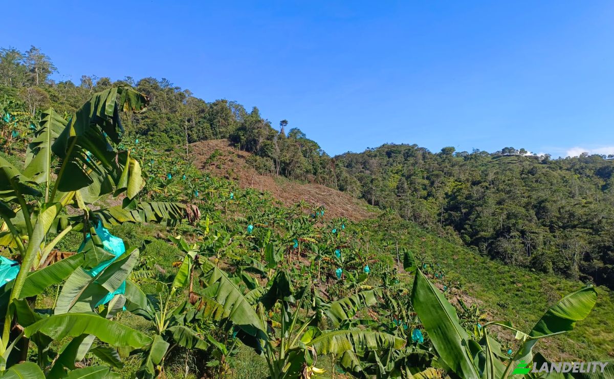 Investing/Development for Sale Via Sin Nombre, Lebrija, Santander, Colombia. Photo 10