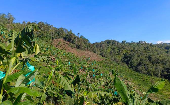 Investing/Development for Sale Via Sin Nombre. Photo#10 Investing/Development for Sale Via Sin Nombre. Photo#10