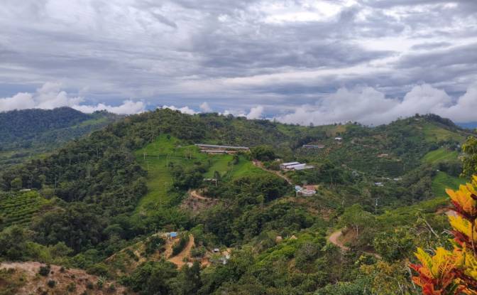 Investing/Development for Sale Via Sin Nombre. Photo#17 Investing/Development for Sale Via Sin Nombre. Photo#17