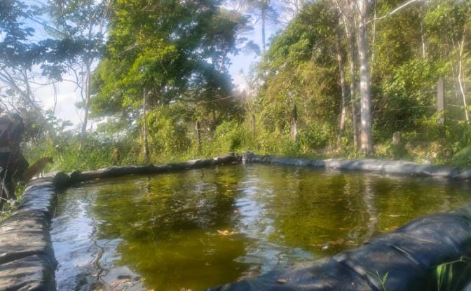 Investing/Development for Sale Via Sin Nombre. Photo#16 Investing/Development for Sale Via Sin Nombre. Photo#16