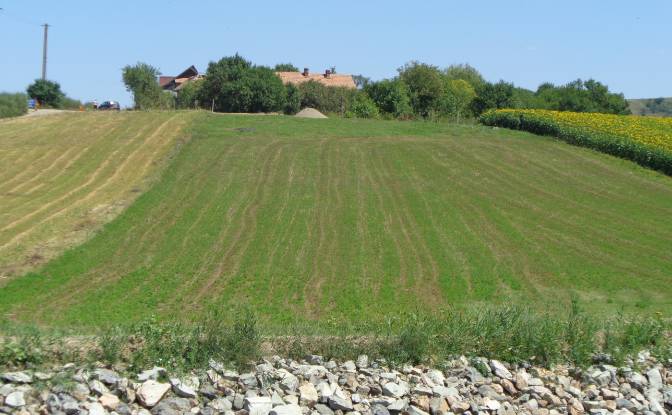 Land Lot for Sale - Stejeris, Romania