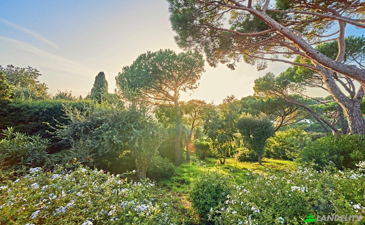Villa for Sale 223 All des Arbousiers, 83350 Ramatuelle, Ramatuelle, Var, Provence-Alpes-Cote dAzur, France. Photo 4