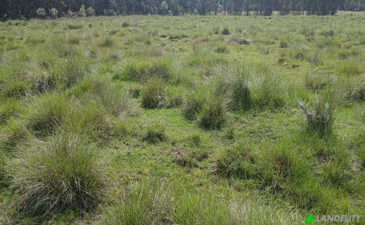 Investing/Development for Sale Thuthuriki, Lamuria, Laikipia County, Kenya. Photo 1