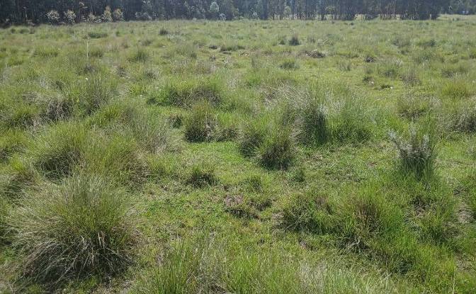 Investing/Development for Sale - Thuthuriki, Kenya