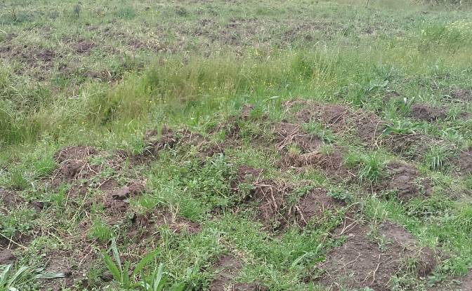 Investing/Development for Sale Thuthuriki, Lamuria. Photo#3