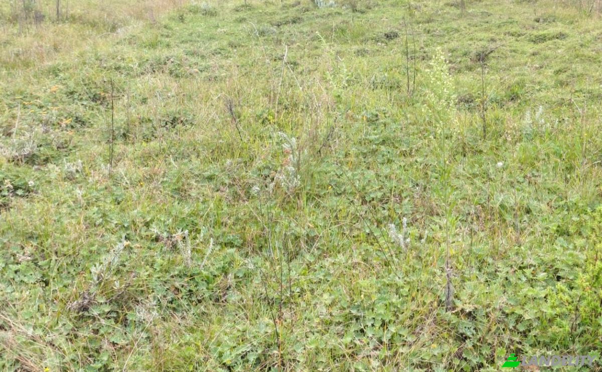 Investing/Development for Sale Thuthuriki, Lamuria, Laikipia County, Kenya. Photo 4