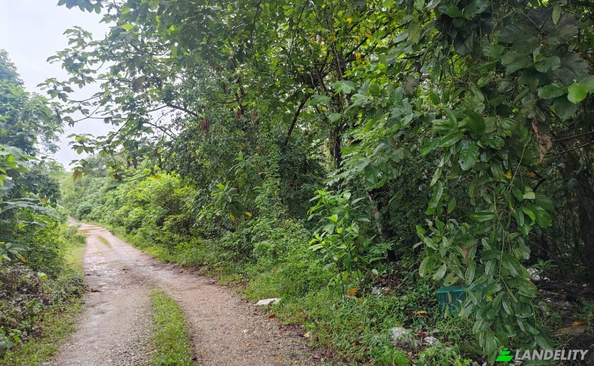Investing/Development for Sale Jalan Cemperai 13C 1, Taman Rasa Utama, 44200 Rasa, Rasa, Hulu Selangor District, Selangor, Malaysia. Photo 2