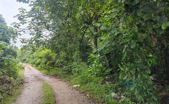 Investing/Development for Sale Jalan Cemperai 13C. Photo#2 Investing/Development for Sale Jalan Cemperai 13C. Photo#2