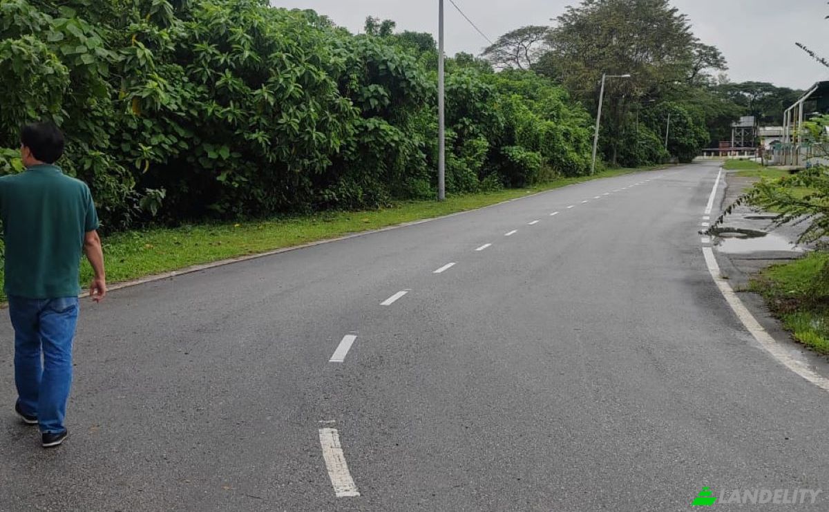 Investing/Development for Sale Jalan Cemperai 13C 1, Taman Rasa Utama, 44200 Rasa, Rasa, Hulu Selangor District, Selangor, Malaysia. Photo 3