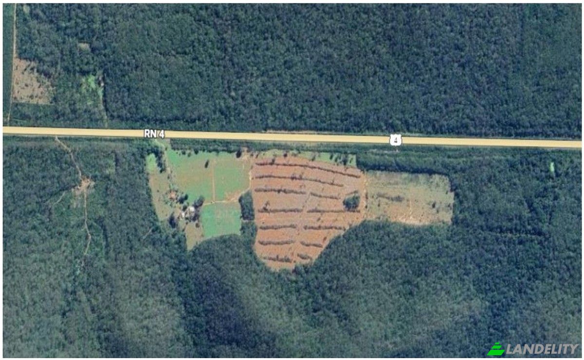 Investition/Entwicklung zu verkaufen RN 4, Estancia Uruguayito, Chiquitos Province, Santa Cruz Department, Bolivia. Foto 17