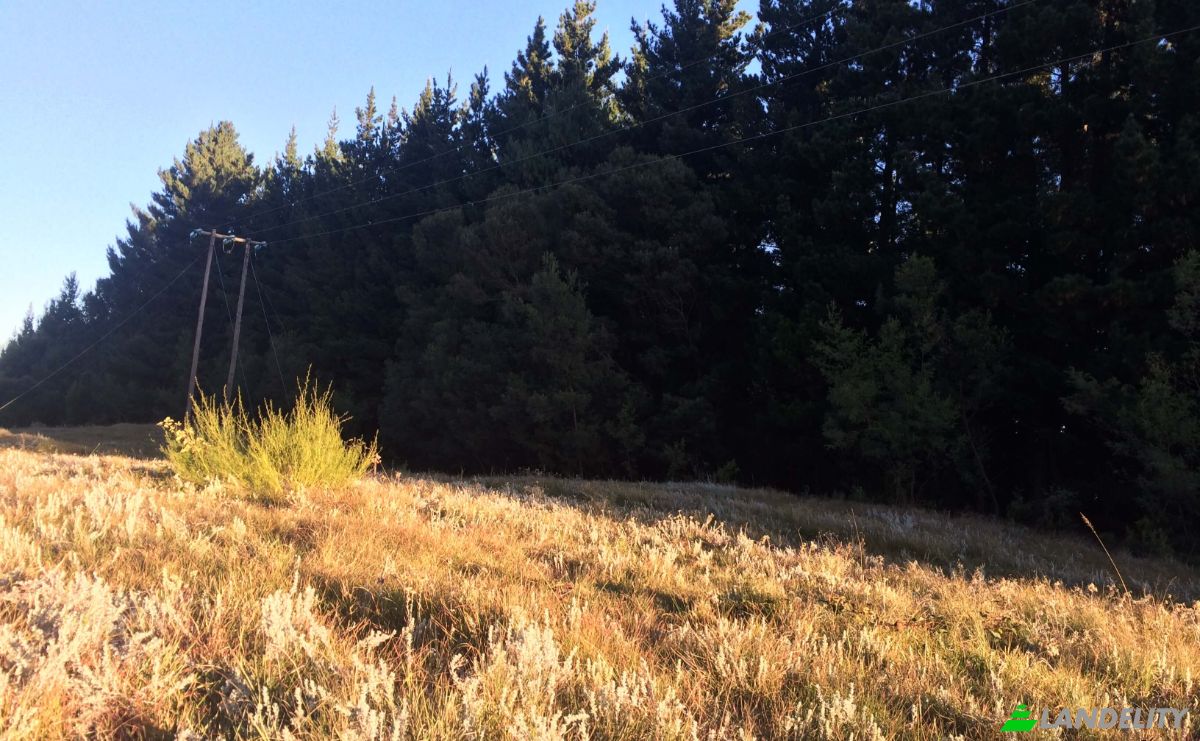 Land Lot for Sale 8 Tor Doone Ln, Hogsback, Amathole District Municipality, Eastern Cape, South Africa, 5721. Photo 6