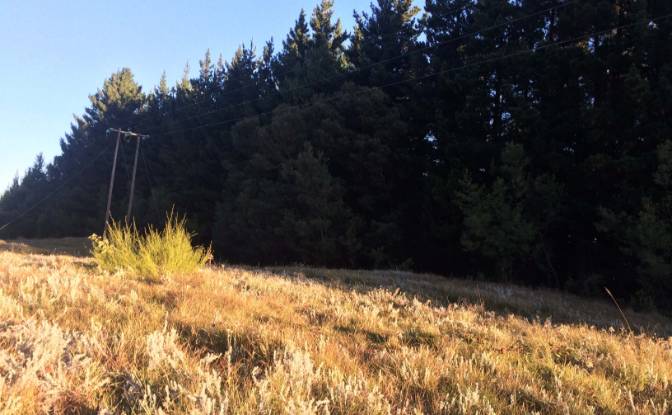 Land Lot for Sale 8 Tor Doone Ln, Hogsback. Photo#6
