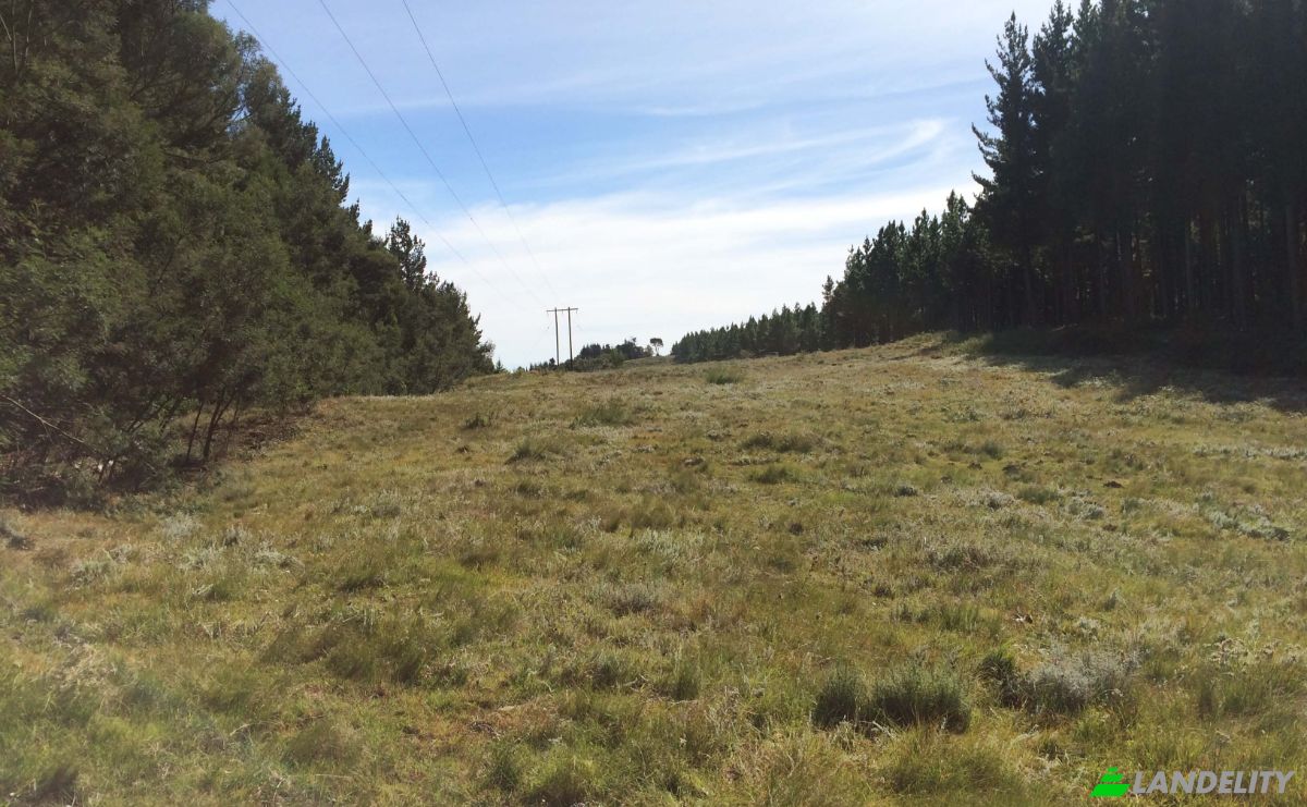 Land Lot for Sale 8 Tor Doone Ln, Hogsback, Amathole District Municipality, Eastern Cape, South Africa, 5721. Photo 5