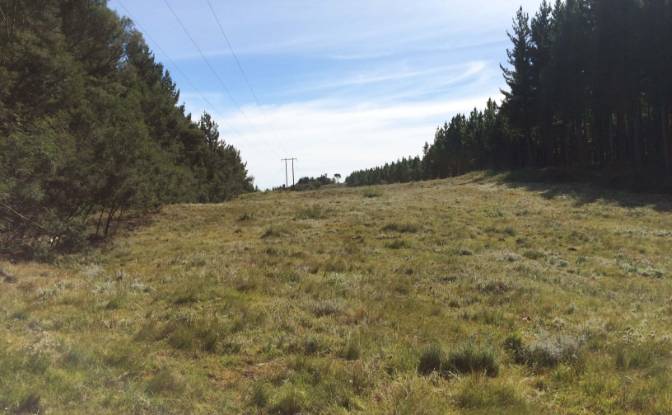 Land Lot for Sale 8 Tor Doone Ln, Hogsback. Photo#5