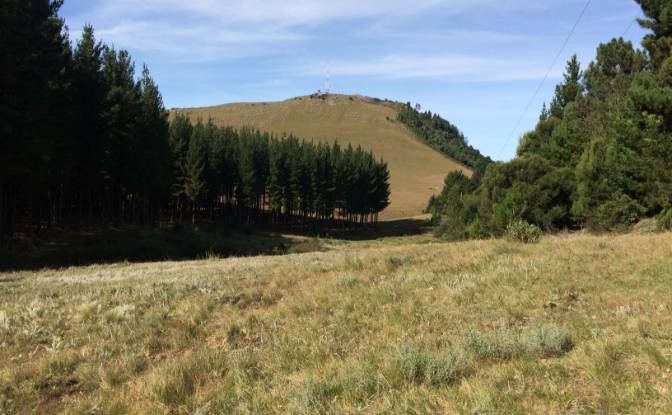 Land Lot for Sale 8 Tor Doone Ln, Hogsback. Photo#7