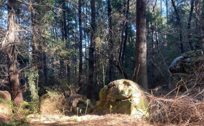 Land Lot for Sale 8 Tor Doone Ln, Hogsback. Photo#4