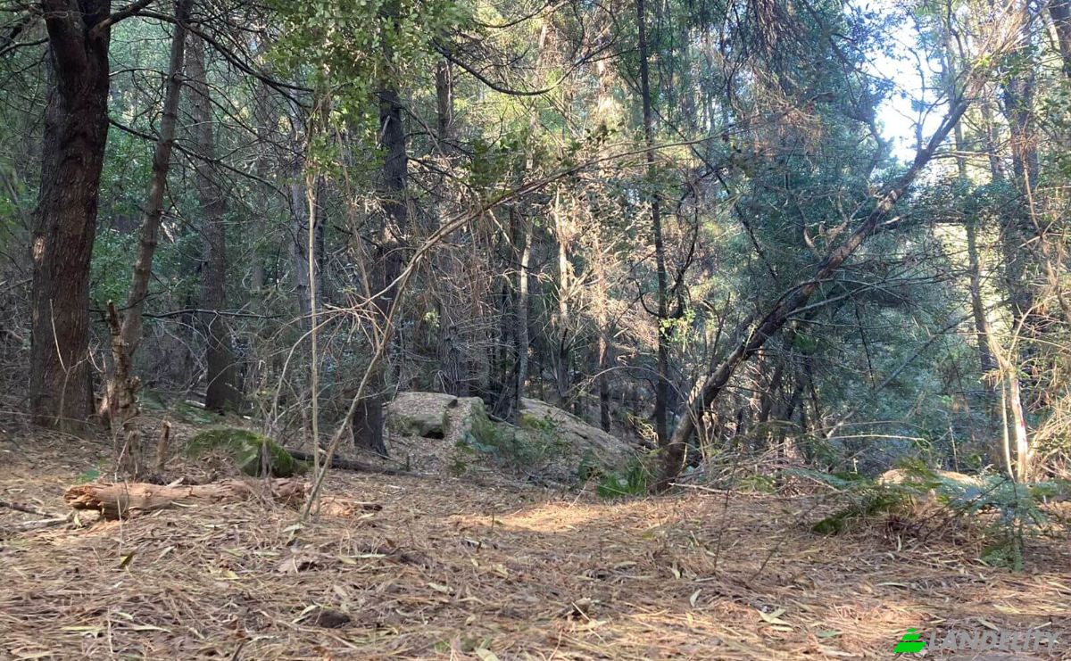 Land Lot for Sale 8 Tor Doone Ln, Hogsback, Amathole District Municipality, Eastern Cape, South Africa, 5721. Photo 8