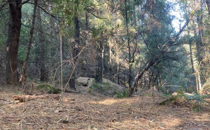 Land Lot for Sale 8 Tor Doone Ln, Hogsback. Photo#8