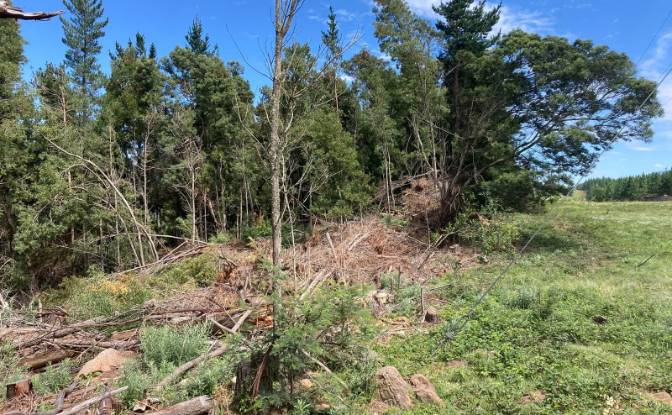 Land Lot for Sale 8 Tor Doone Ln, Hogsback. Photo#10