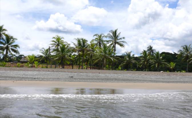 Investing/Development for Sale Palenque. Photo#4 Investing/Development for Sale Palenque. Photo#4