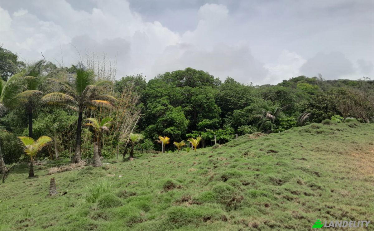 Investing/Development for Sale Palenque, Provincia de Colon, Cuango, Santa Isabel District, Colon Province, Panama. Photo 7